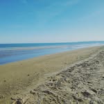 Paul states - @paul_states_ - Instagram