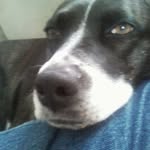 Paul States - @paul.states - Instagram