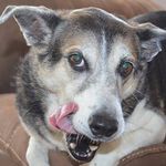 Paul Stebbins - @paul.stebbins.96 - Instagram