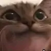 Paulio_Pebbins - @paulstebbins5 - TikTok