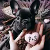 ❤️Paul+Steffi=Forever ❤️ - @paulsteffi24624 - TikTok