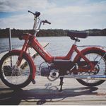 Paul Meldøgaard Steffensen - @paul.m.s - Instagram