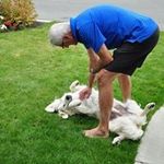 Paul Steffensen - @steffensenpaul - Instagram
