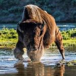 Paul steidinger - @steidinger1966 - Instagram
