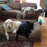 Paul Steinhauer - @steinhauer.paul - Instagram