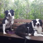 Paul & Stella Borders - @paul.stella.borders - Instagram