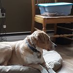 paul stickney - @stickney8323 - Instagram