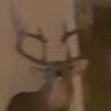 paul24stigall - @paul24stigall - TikTok