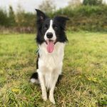 Paul Stott - @paulstottuk - Instagram