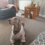 Paul Stowell - @paul.stowell.79 - Instagram
