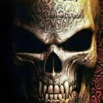 Skull-Shocker - @paul.stowers - Instagram