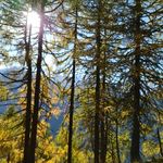 Paul Stricker - @stricker6457 - Instagram