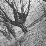 Stricker Paul - @strickerpaul9 - Instagram