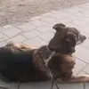 Paul Striker - @paul.striker6 - TikTok
