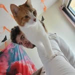 Paul Stringfield - @stringfieldpaul - Instagram