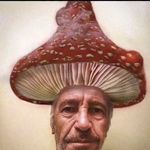 Paul Strohl🍄 - @theycallmethemushroom - Instagram