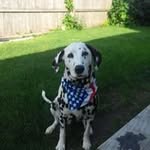 Paul Strother - @pstro1959 - Instagram