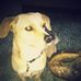Paul Struble - Facebook
