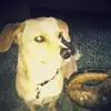 paulstruble776 - @paulstruble776 - TikTok