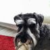 Paul Strudwick - Facebook