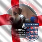 Paul Strudwick - @paul.strudwick - Instagram