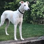Paul Struthers - @paulmstruthers - Instagram