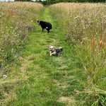 Paulene Struthers - @paulenestruthers - Instagram