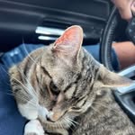 Paul Sturges - @paul_sturges68904 - Instagram