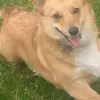 paulsteyer - @paulsteyer - TikTok