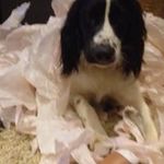 Paul Styles - @paul_j_styles - Instagram