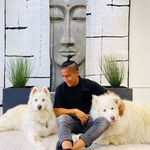 Paulsugar - @paulsugar10 - Instagram