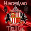 paulsugden878 - @paulsugden878 - TikTok