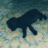 Paul - @paul.sutton123 - TikTok