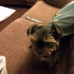 Paul Sutton - @paulsutton03 - Instagram