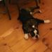 Paul Swick - Facebook