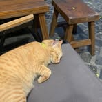 Paul Ta - Facebook