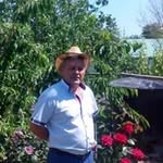 Paul P Tabaranu - @paultabaranu - Instagram