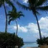 Paul T Baron - @31603368833 - TikTok