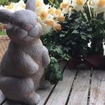 Paul Tack - @paul.tack - Instagram