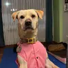 Paul Rivera - @paul_rivera_taytafe - TikTok