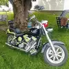 Paul Talbott461 - @paultalbott61 - TikTok