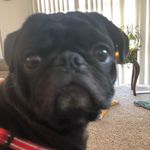Paul Tames - @paul.tames.921 - Instagram