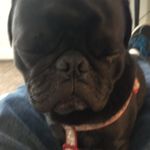 Paul Tames - @ptames62 - Instagram