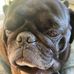 Paul Tames - Facebook