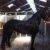 Paul Tanck - Facebook