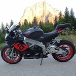 polo73 - @paul.tardy.39 - Instagram