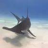 Paul Tarkington - @paultark71 - TikTok