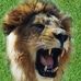 Paul Tatomir - Facebook