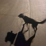 Paul teeter - @nobodyhere.677 - Instagram
