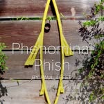 Paul Tefft - @paultefftphenominalphish - Instagram